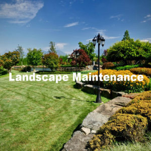 landscape maintenance 600x600