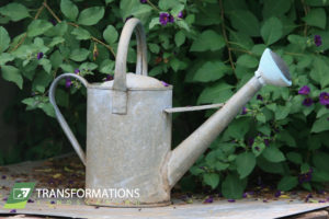watering can transformations
