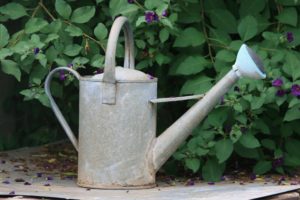 watering can 1392239418iF9